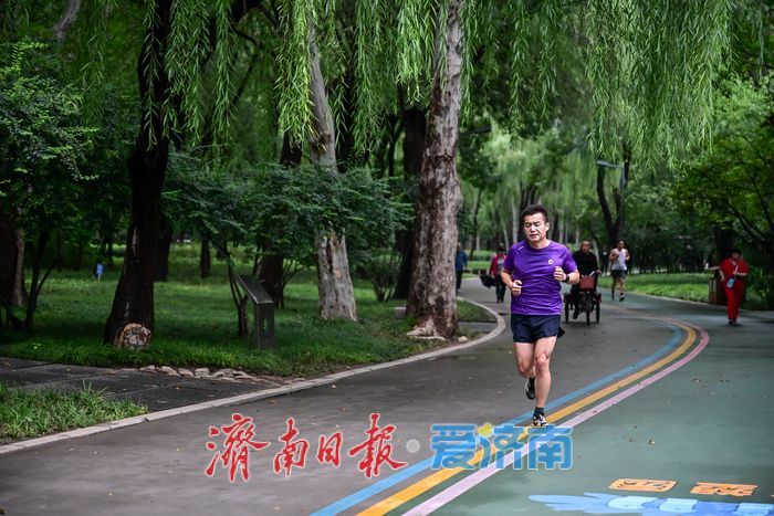 一年四季 泉在济南丨雨后泉城绿意浓，济南森林公园焕发活力