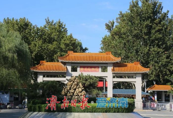 一年四季 泉在济南丨暑假，来解锁公园的N种游玩方式