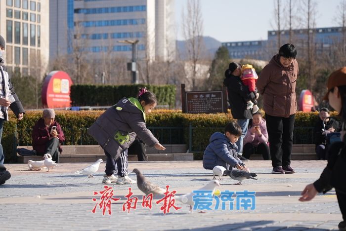 春风和煦，市民欢“鸽”笑语度周末
