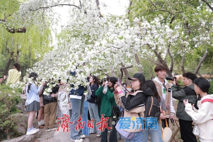 假期最后一天，济南这些地方不要错过！