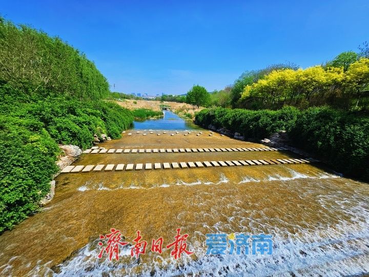 春意盎然满目新 龙鼎滨水公园尽展生态好风光