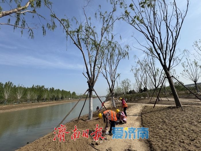 项目强省会｜大寺河提升改造初见成效 水清岸绿展新颜