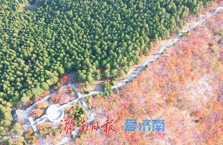 济南“鸳鸯锅”渐入佳境，蝎子山将迎赏红叶最佳时节