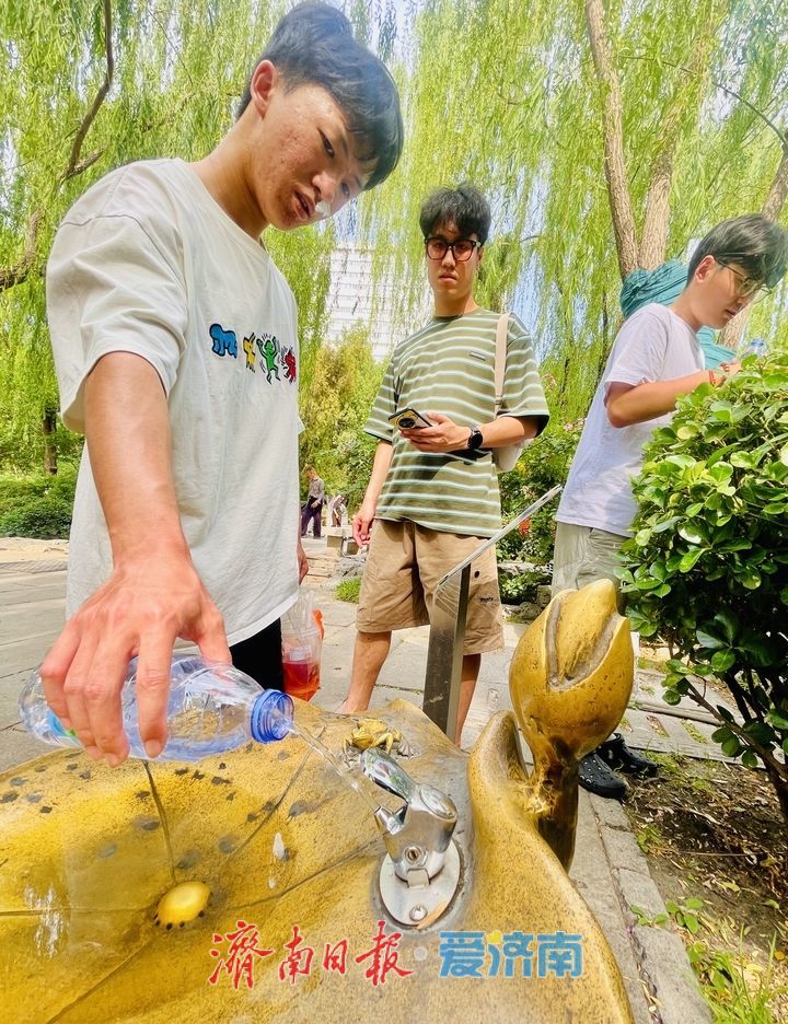 一年四季 泉在济南丨戏水亲泉寻清凉