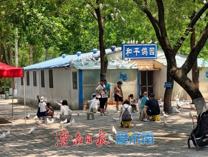 夏日游园热度攀升，济南动物园成市民休闲好去处