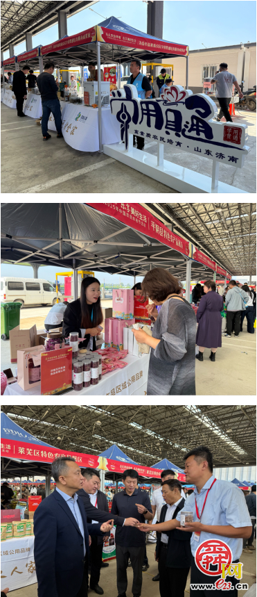 济南市2025年中国农民丰收节：以多元形式展学用贯通培育硕果，绘乡村振兴新图景