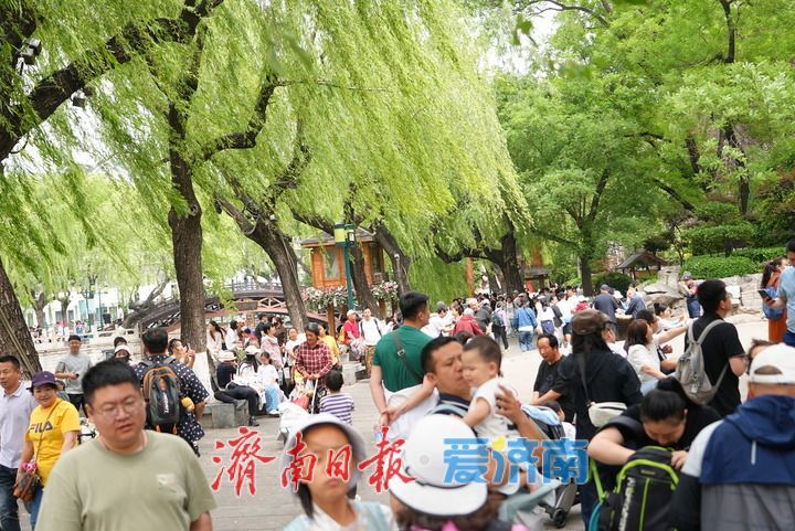 一年四季 泉在济南｜雨润泉欢 假期赏泉醉游人 