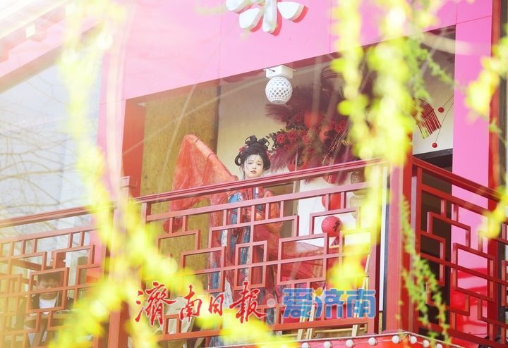 芳菲三月，“空中花园”扮靓济南老街