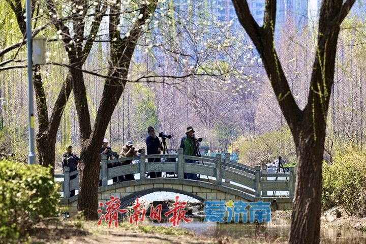 春分时节，踏春赏景正当时