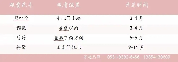 “马”上开花！章丘城区公园赏花地图出炉，开启春日好时光！