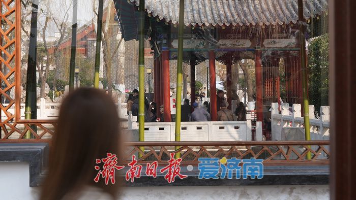 春日闯进明府城，泉水旅游“火力全开”！