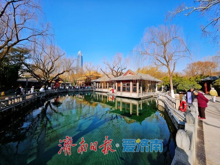 深冬趵突泉公园 尽显静谧之美