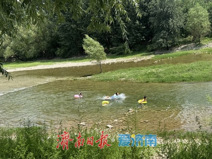 一年四季 泉在济南丨玉符河丰水期景色宜人 市民临水乐享夏日时光