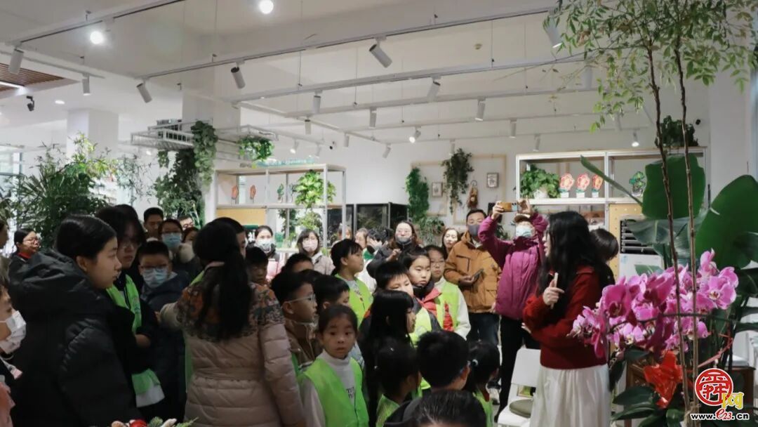 指尖塑绿意，公益暖泉城——济南泉民园艺中心联合辰星公益开展多肉DIY温暖陪伴活动