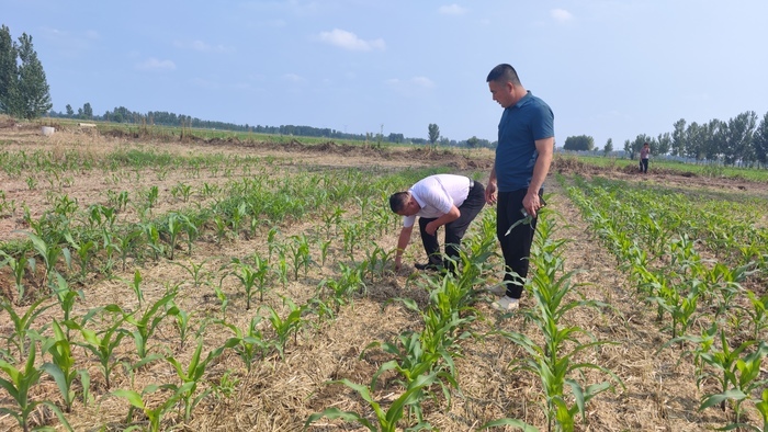 济南，“雨”见这些事