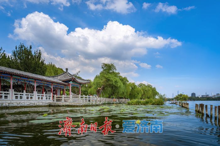一年四季 泉在济南丨泉城消夏图鉴：大明湖成市民游客纳凉赏景“心头好”