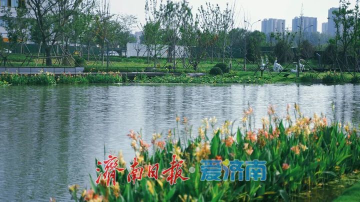 一年四季 泉在济南丨白泉湿地公园对外开放吸引众多市民关注