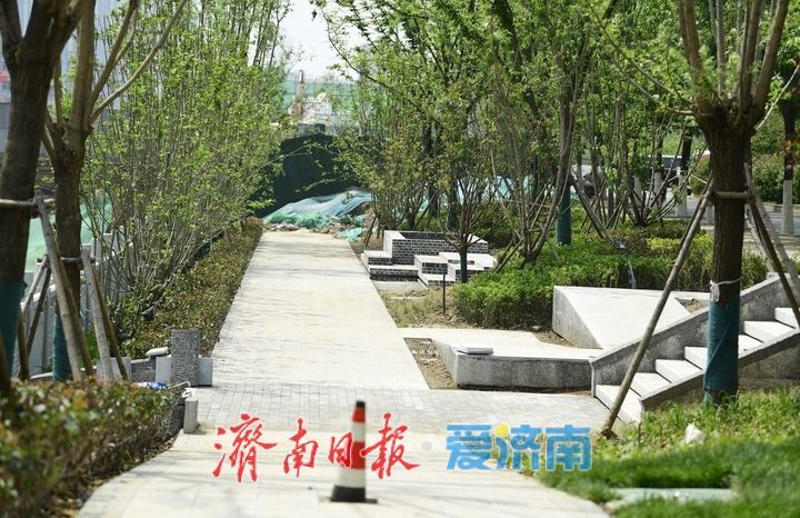 打造四季有景滨河绿廊，东泺河综合整治工程6月底完工