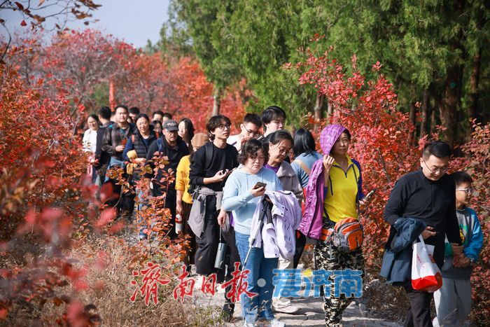 一年四季 泉在济南丨济南蝎子山秋色“美出圈”！半山红妆半山青翠，独特“鸳鸯火锅”景观引客来