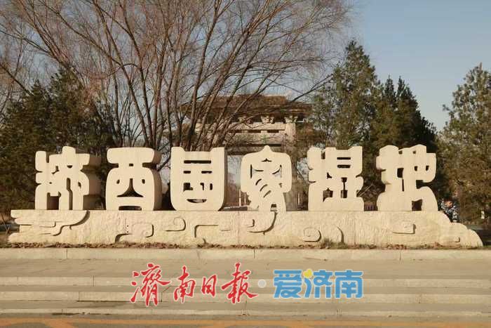 风过苇梢，湖映冬阳 济西湿地的冬日限定美好