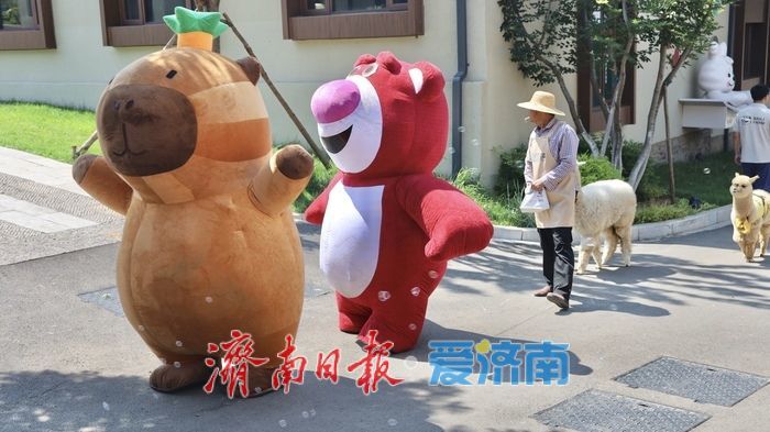 济南这个“网红村”，凭什么逆袭？