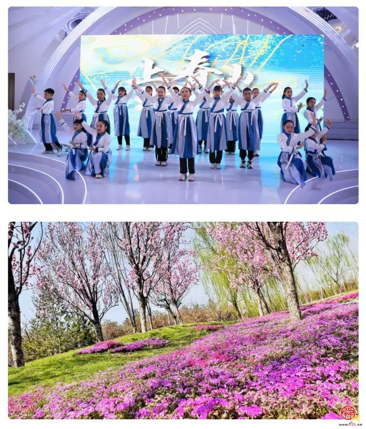 章丘官庄百花园樱花烂漫，来赴一场春日盛宴