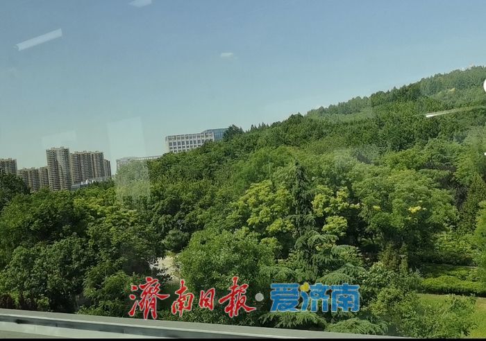 云巴视角下的唐冶山公园别样青翠