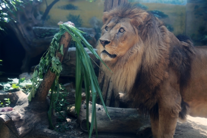 告别课本，融入自然！“第一书记”化身“自然向导”带娃打卡动物世界