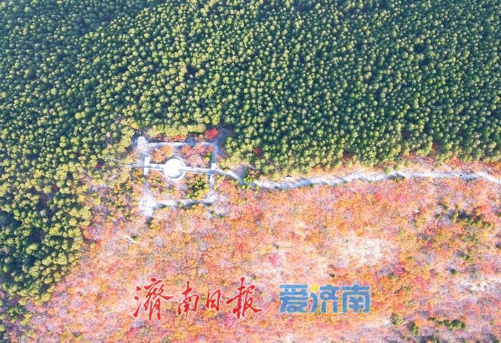 济南“鸳鸯锅”渐入佳境，蝎子山将迎赏红叶最佳时节