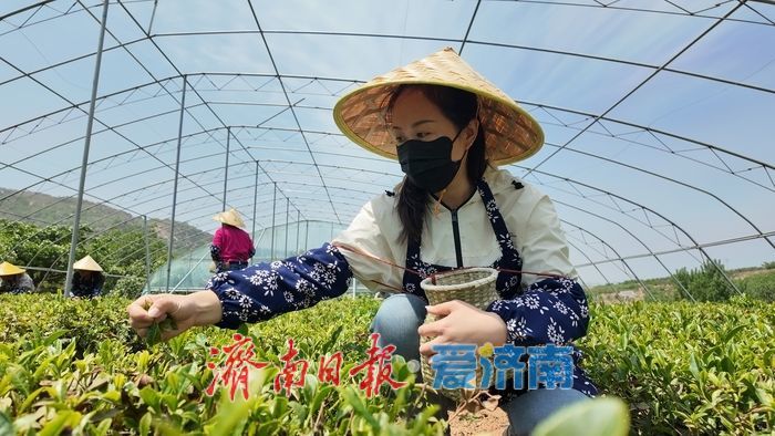 2025年年末，济南常住人口同比增加10.1万人 那份“刚刚好的温暖”最引人