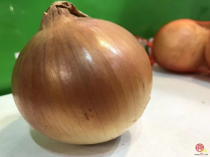 点击进入DeepSeek眼中玉清湖街道！