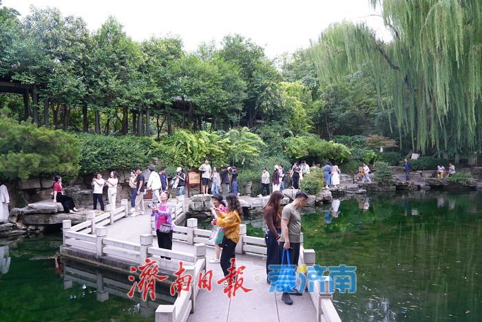 一年四季 泉在济南丨秋雨润泉！济南“泉水游”持续在线