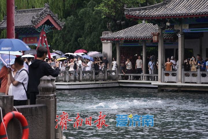 一年四季 泉在济南｜烟雨“济南府”赛江南 雨中泉水游别样体验