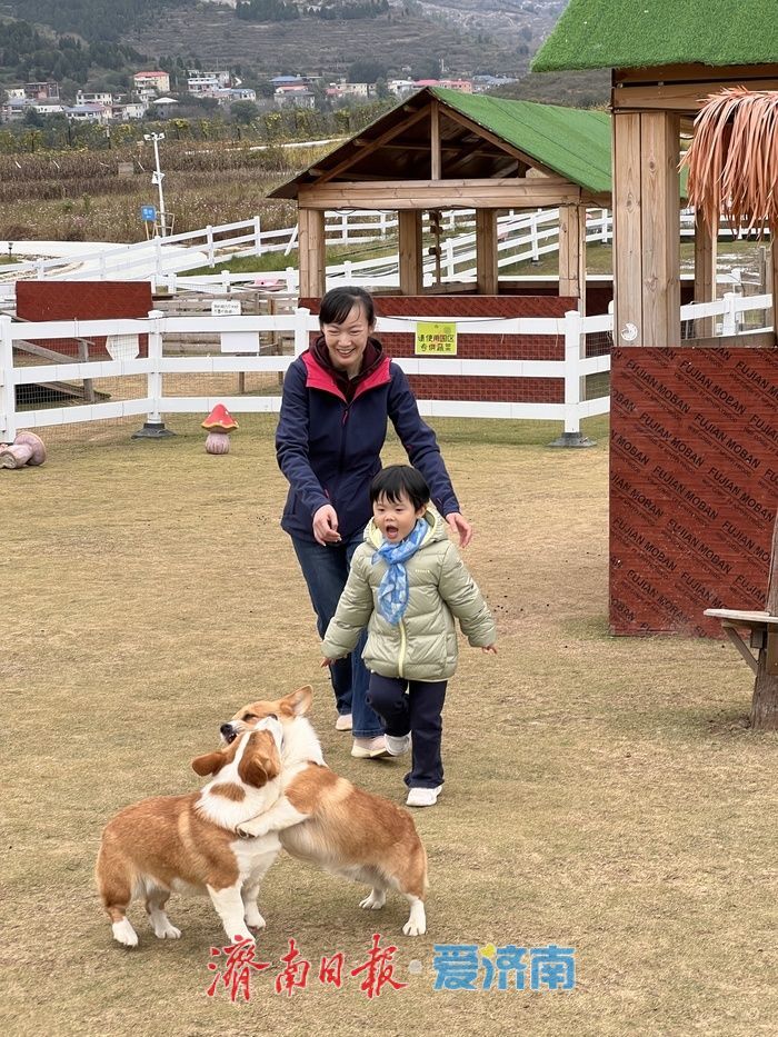 卢南村农场变身“萌宠乐园”！亲子解锁沉浸式互动新体验