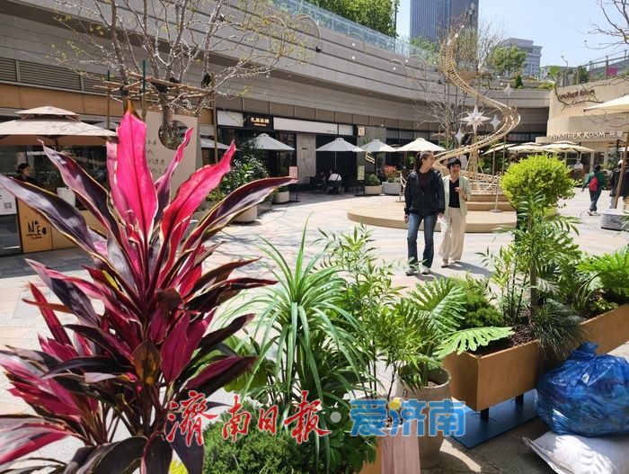 “城市绿洲“自由岛”创意场景引客打卡