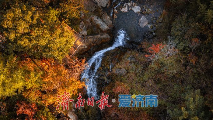 济南九如山：秋日斑斓如诗画，手工体验让秋天 “触手可得”