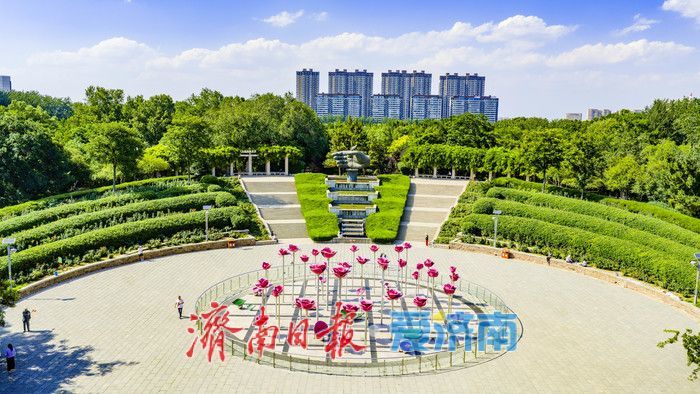 清风伴晴空 绿意满公园 泉城夏日氛围感拉满