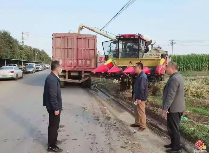 章丘圣井街道：农业之花绽放在耕耘里
