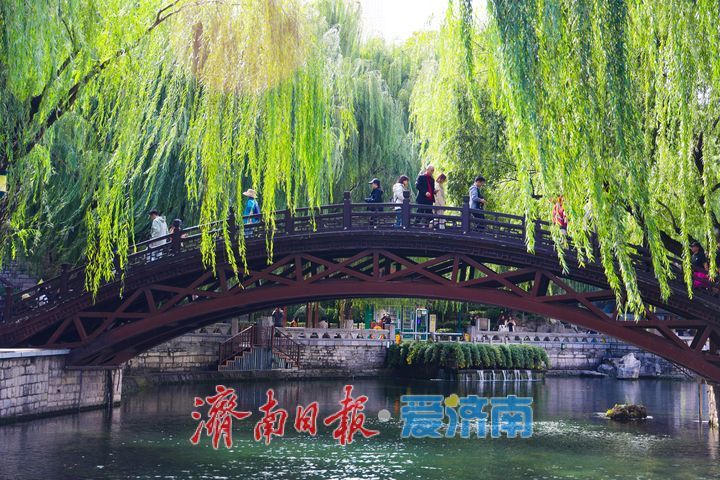 一年四季 泉在济南丨天高云淡秋意浓 泉城碧水映长天