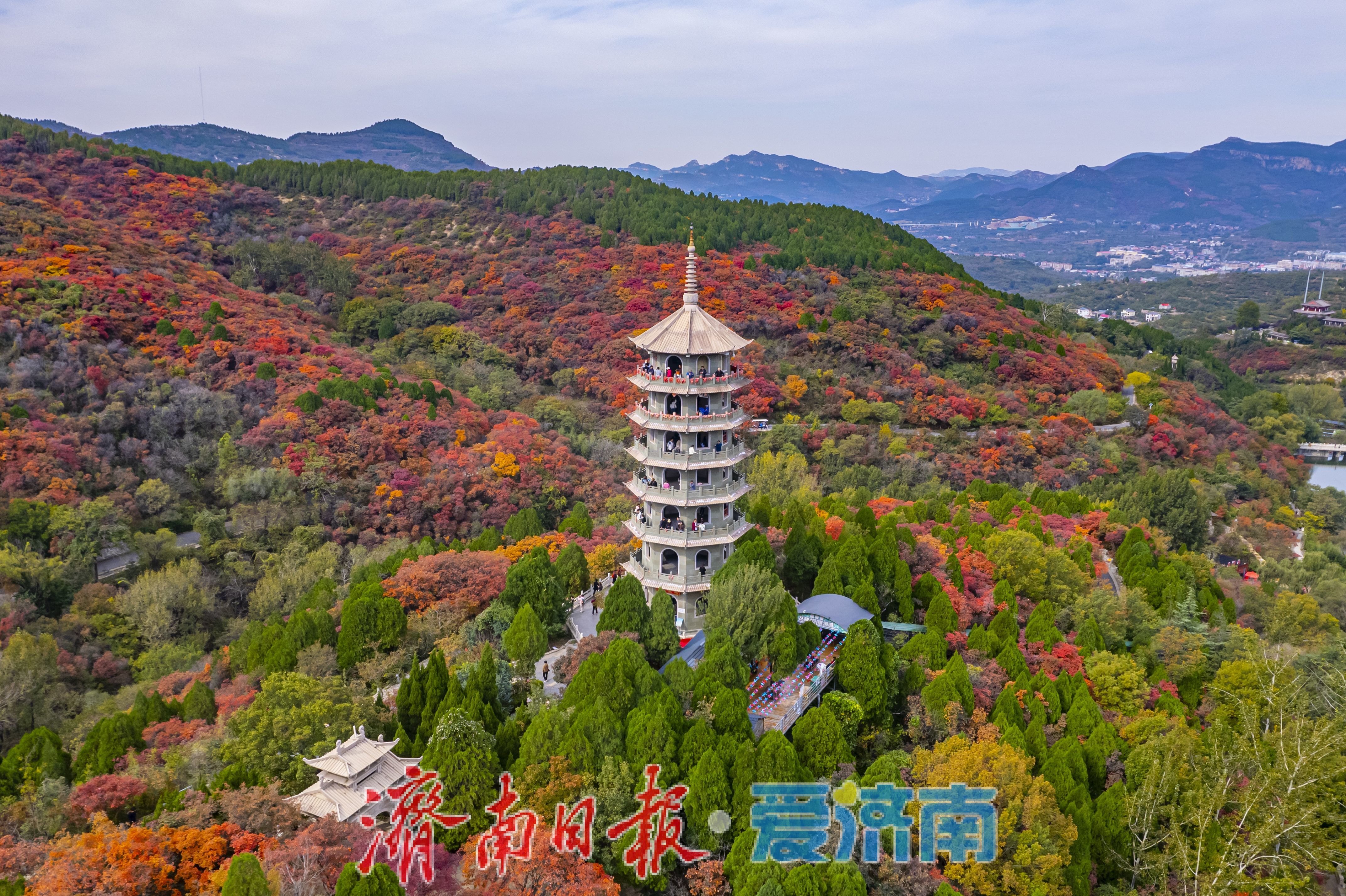 万山红遍，层林尽染！济南红叶谷进入最佳观赏期