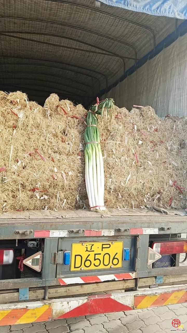 垛庄镇：商会搭桥促成优质农产品“出关”