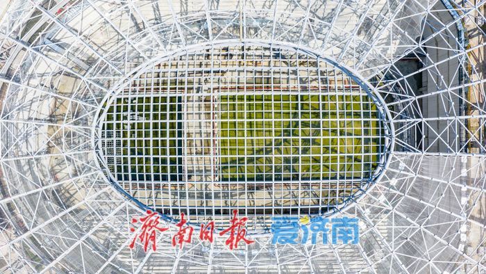 “赛事 + 健身 + 戏水 + 商业”济南黄河体育中心游泳馆解锁多元文体体验