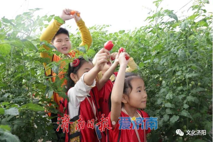 七大主题、300+活动，五一来济南玩出新花样！