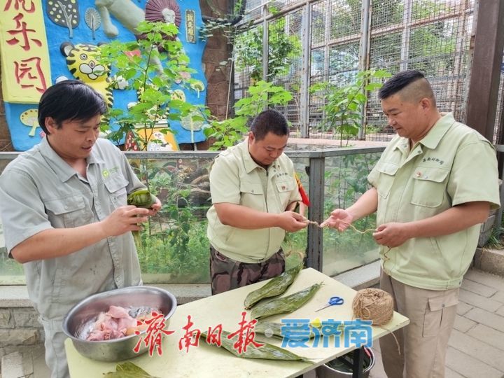 一年四季 泉在济南丨端午节，济南动物园的动物们吃粽子啦