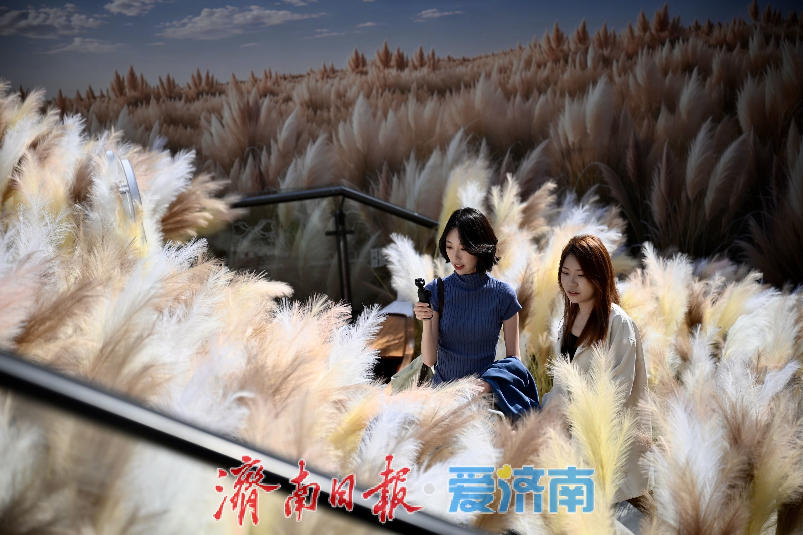 芦荻纷飞秋意浓 济南老商埠十一打卡热度持续攀升