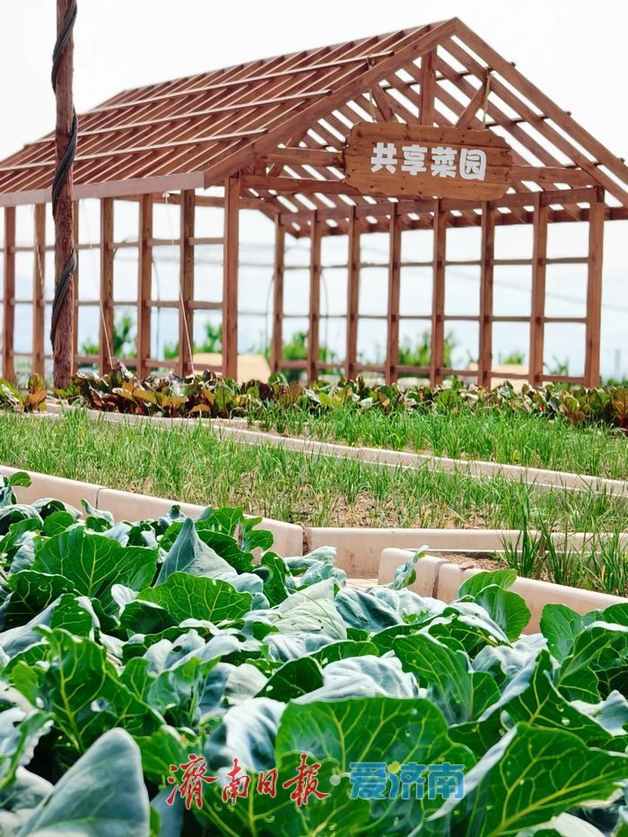 济南马山百里田园度假区：城市近郊的诗与远方