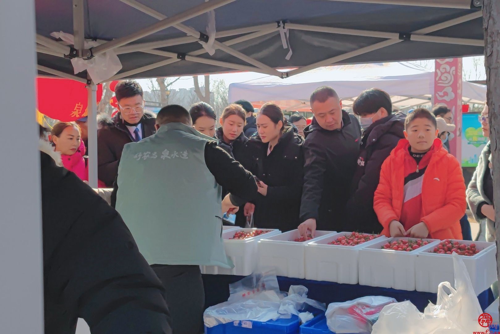 “泉”在济南过大年