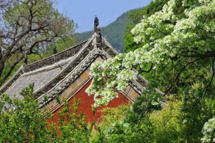 泉在济南过五一丨50余项活动，济南春日踏青出游指南发布！