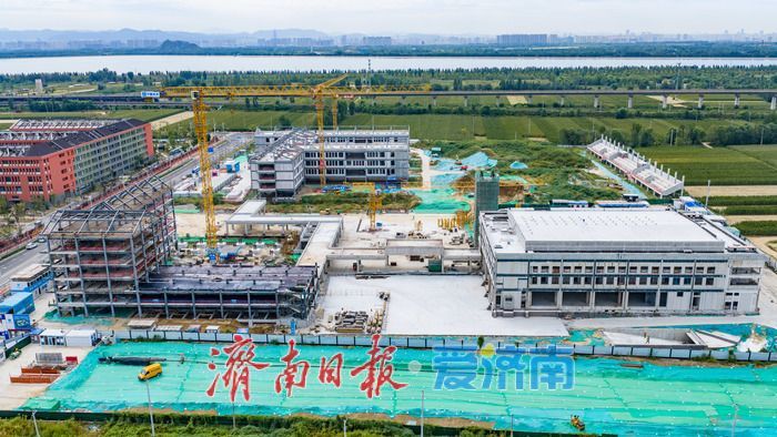 教育先行！省实验鹊华校区初中部有序推进