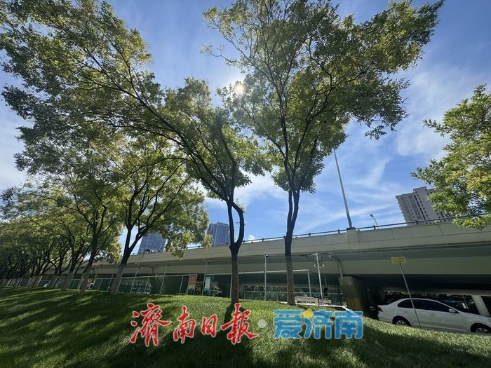 初秋“上新”！济南燕山立交桥下景致迷人